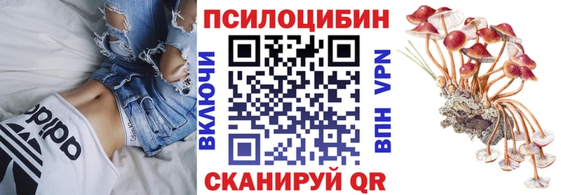 Псилоцибиновые грибы мицелий  Бутурлиновка 